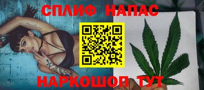 скорость Новозыбков