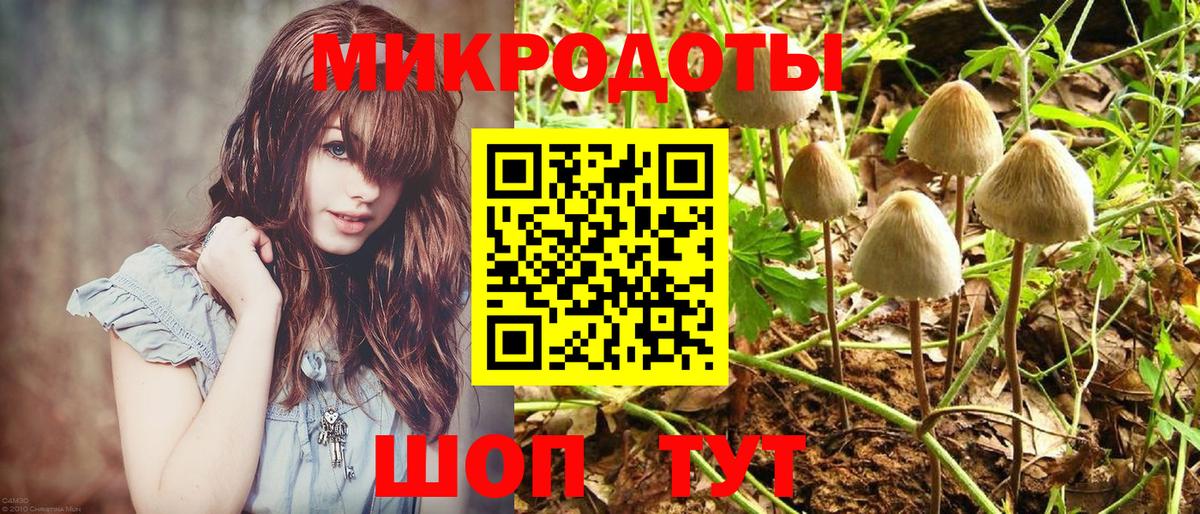Галлюциногенные грибы GOLDEN TEACHER Тольятти