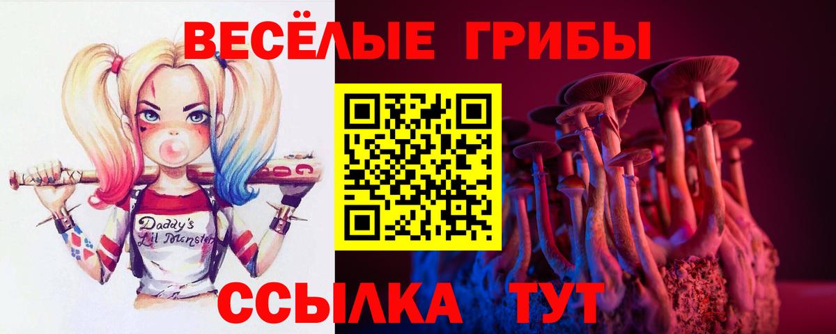 Галлюциногенные грибы MAGIC MUSHROOMS  Вход с VPN  Тольятти 